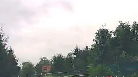 d5a5a51e-10aa-4c92-ae56-9ee570a2808b_Olszany