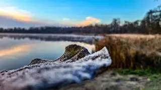 Jesień nieśmiało przekomarza się z zimą, Stęszew (Wielkopolskie)