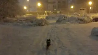 Śnieg w Gdyni, 11.01