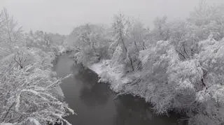 Tarnów (Małopolskie)