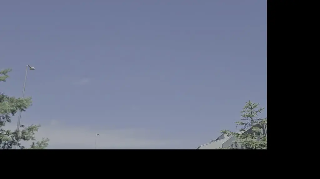 8f70ae04-199d-42f3-b741-799cdf6ce6ef_20240712_130520