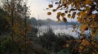 Zimny poranek w Gdańsku 