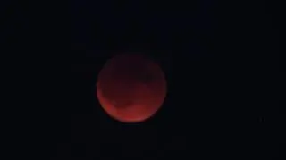 Krwawy Księżyc, Ornontowice (Śląskie)