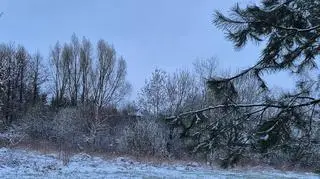 Śnieg w Węgorzewie (Warmińsko-Mazurskie) 