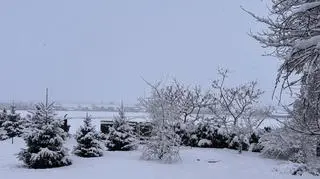 Śnieg w miejscowości Wielącza (Lubelskie)
