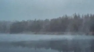 Stęszew (Wielkopolskie)