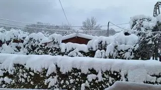 Śnieżna sceneria w Polańczyku (Podkarpackie)
