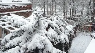 Śnieżna jesień w Krakowie 