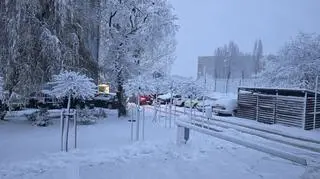 Zimowa uderzyła, Poznań 