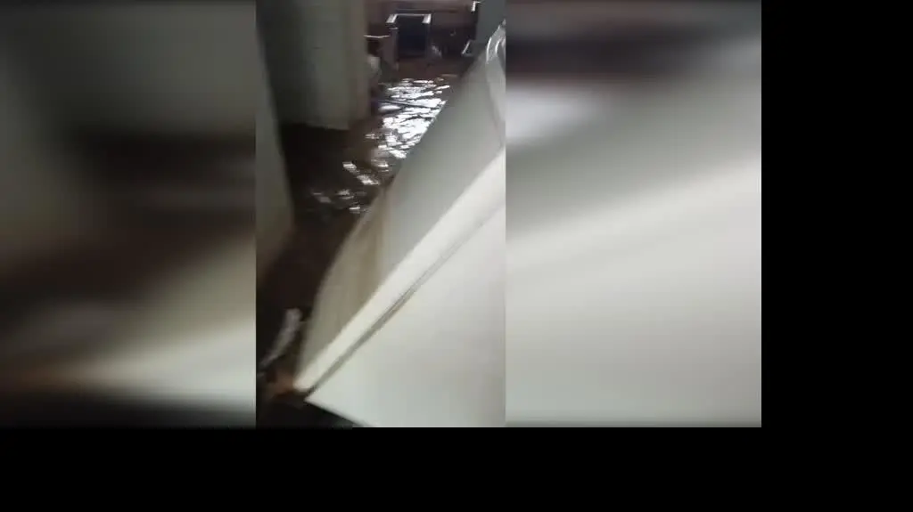 e311f300-f853-4bf8-af05-7ed05fd21695_lenarnice1