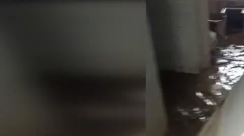 e311f300-f853-4bf8-af05-7ed05fd21695_lenarnice1