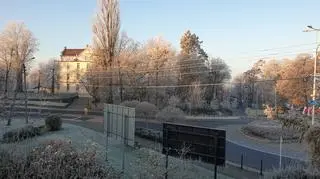 Zimowy poranek, Kożuchów (Lubuskie)