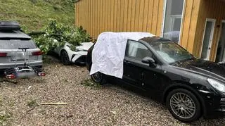 Przewrócone drzewo w Giżycku (Warmińsko-mazurskie)