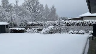 Zawierzbie koło Dębicy (Podkarpackie)