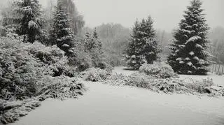 Śnieg, Gorlice (Małopolskie)