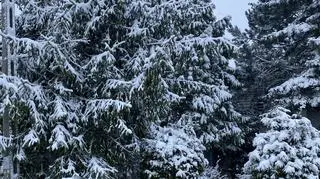 Tenczynek (Małopolskie)