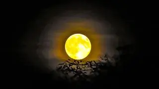 Bobrzy Superksiężyc, Dąbrowa Tarnowska (Małopolskie)