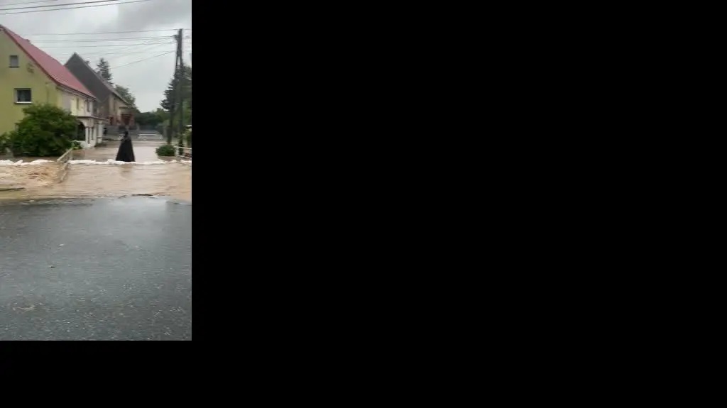 effa892a-9075-45d0-897d-b10d331076ca_IMG_2767