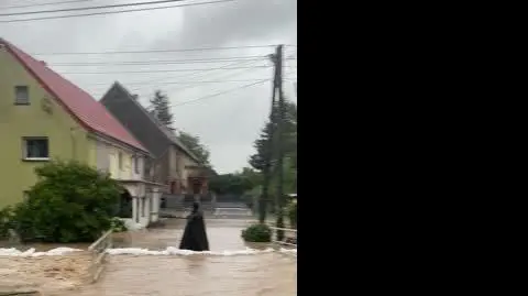 effa892a-9075-45d0-897d-b10d331076ca_IMG_2767