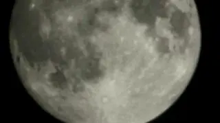 Pełnia Bobrów, Warszawa