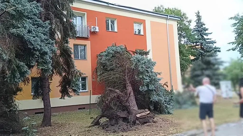 Po burzy w Mielcu 