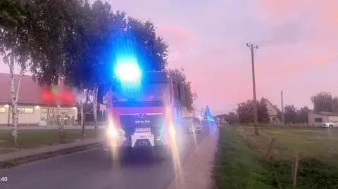 Akcja służb, Budziszów Wielki (Dolnośląskie)