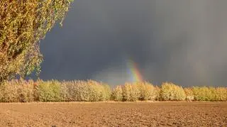 Po fali deszczu mammatusy i tęcza