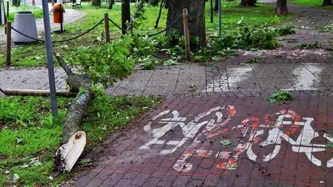 Sztorm na Bałtyku i skutki silnego wiatru w Ustce