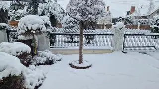 Wólka Podleśna (Podkarpackie)