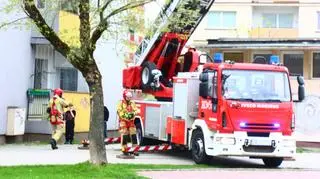 Strażacy uratowali zaplątanego w siatkę balkonową ptaka