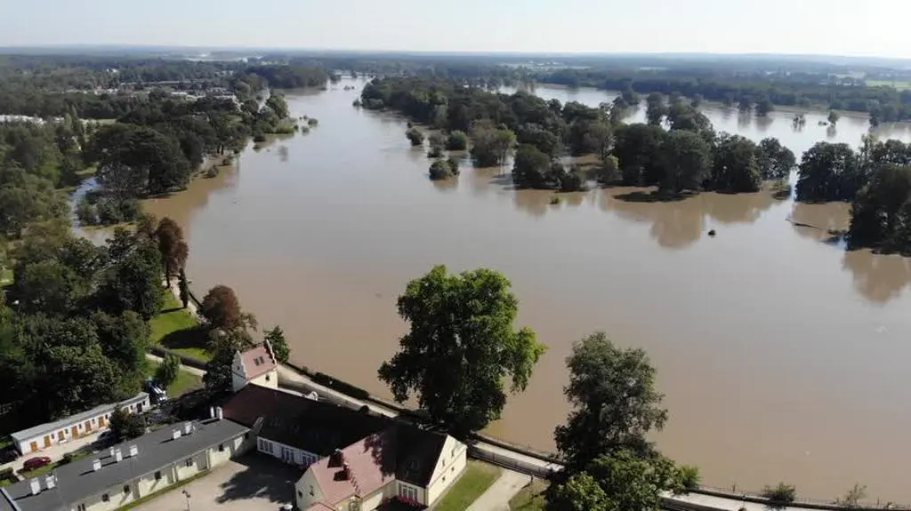 32355424-bebc-464a-8d17-8256d52dd8f0_DJI_0004