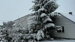 Zima w miejscowości Zarudzie (Lubelskie)