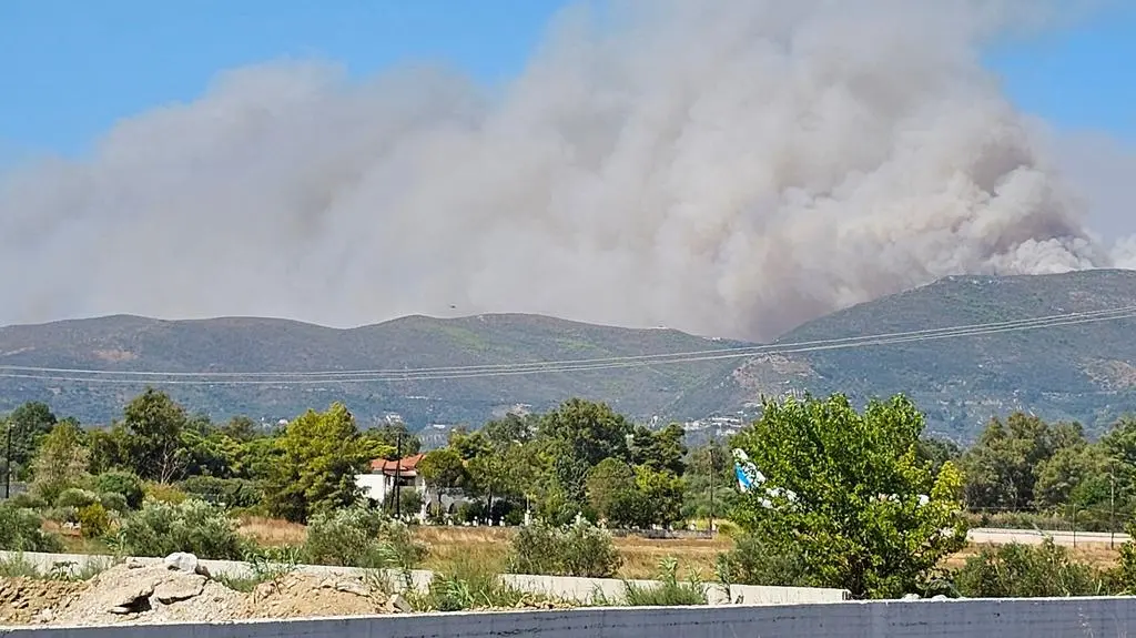 Pożar Zakynthos