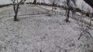 Widok z okna w okolicach Jasła 