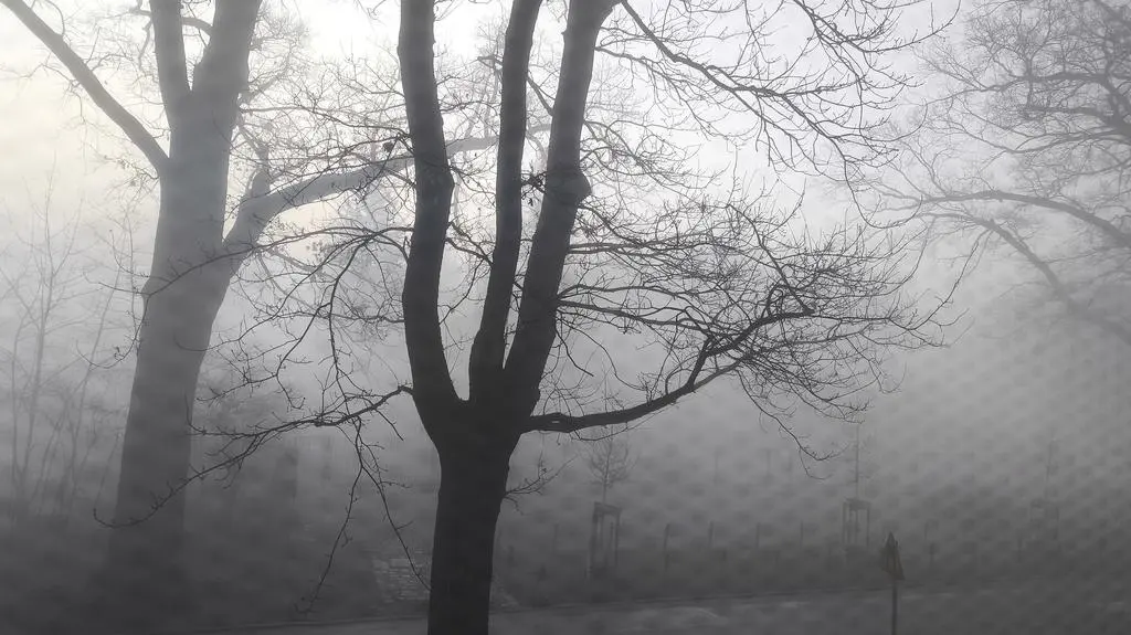 Mgła we Wrocławiu 