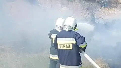 9c9b4054-61b0-4ecb-89cd-6d7181850d07_DSCN2626