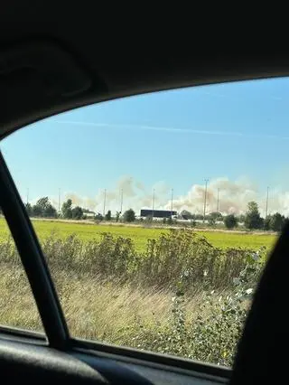 Pożar pól koło Pruszkowa