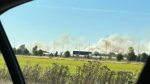 Pożar pól koło Pruszkowa