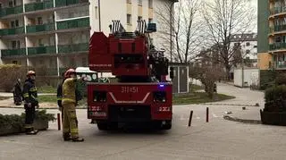 Strażacy ratujący gołębia zaplątanego w siatkę, Tarchomin 