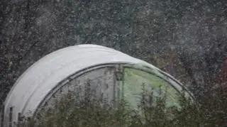 Pierwszy śnieg, mokry i szybko topniejący, Ornontowice