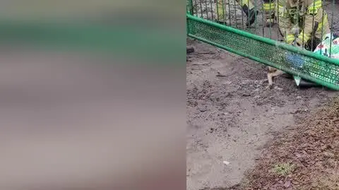 8ec7e5e9-fe8a-4472-884a-fd73e8f48b32_sarna-2