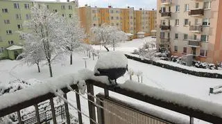 Koszalin 21.11, godz. 10.30