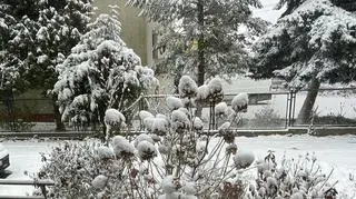 Tenczynek (Małopolskie)