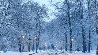 Park Sielecki w Sosnowcu 