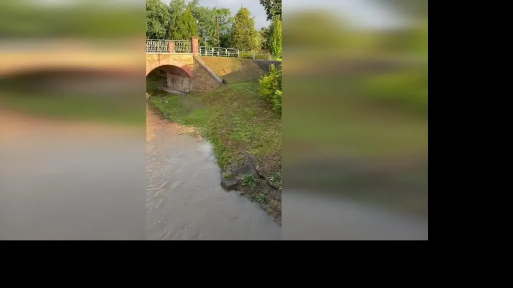 9d2c3f39-f10e-49fd-8fd3-0fdb60ffa898_kato