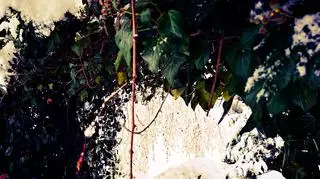 W Stęszewie jesień - zima 0:1