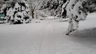 Nowy Sącz (Małopolskie)