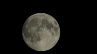 Pełnia Bobrów, Warszawa