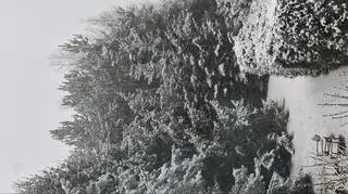 Gilowice koło Żywca (Śląskie)