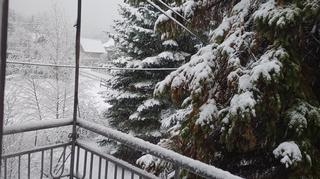 Dzisiejsza zima, Brzesko (Małopolskie)